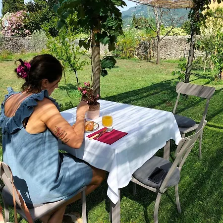 Badia Giulia Prestigious Historical B&b, - Adults Only - No Pets Bed & Breakfast Camaiore