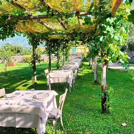 Badia Giulia Prestigious Historical B&b, - Adults Only - No Pets Bed & Breakfast Camaiore
