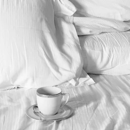 Badia Giulia Prestigious Historical B&b, - Adults Only - No Pets 3* Camaiore