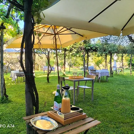 Badia Giulia Prestigious Historical B&b, - Adults Only - No Pets Camaiore